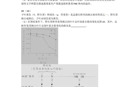 2012年高考生物试卷（广东）（空白卷）_生物历年高考真题_新&middot;Word版2008-2025&middot;高考生物真题_生物（按省份分类）2008-2025_2008-2025&middot;（广东）生物高考真题