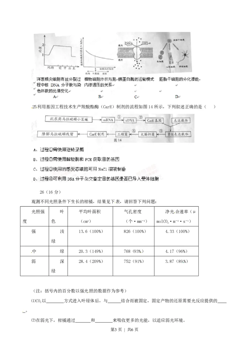 2014年高考生物试卷（广东）（空白卷）_生物历年高考真题_新&middot;PDF版2008-2025&middot;高考生物真题_生物（按年份分类）2008-2025_2014&middot;高考生物真题