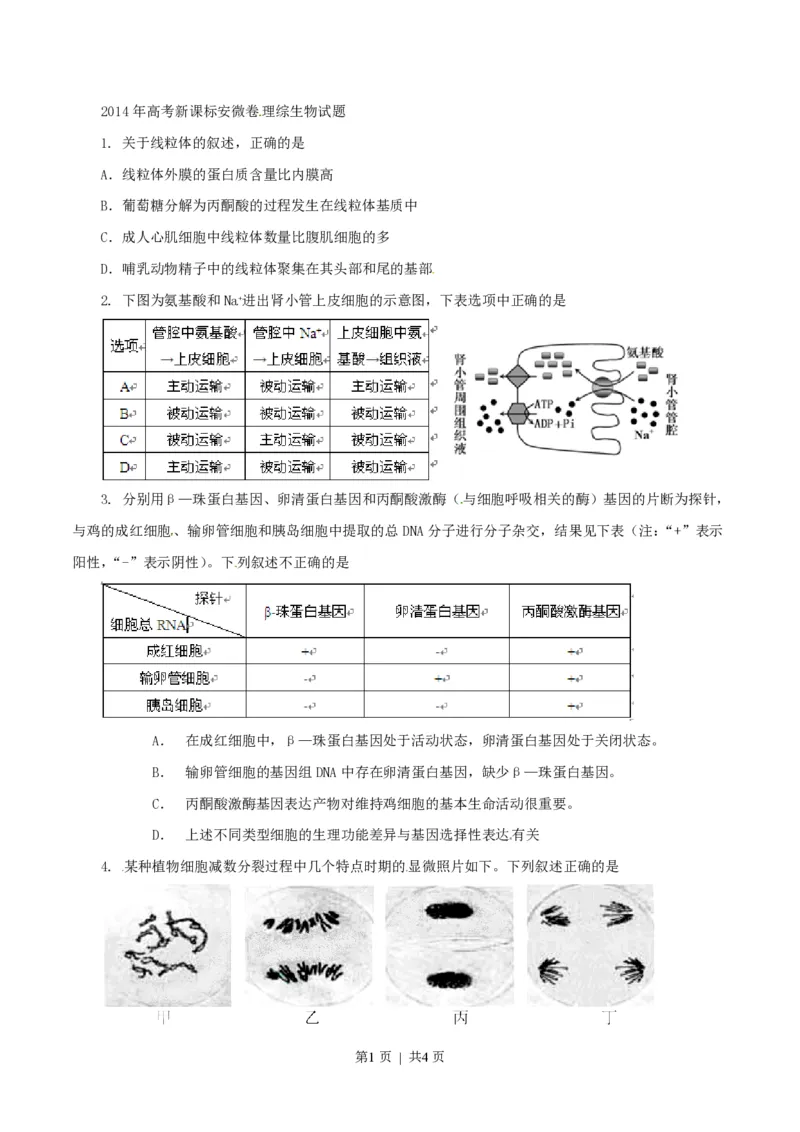 2014年高考生物试卷（安徽）（空白卷）_生物历年高考真题_新&middot;PDF版2008-2025&middot;高考生物真题_生物（按省份分类）2008-2025_2012-2025&middot;（安徽）生物高考真题