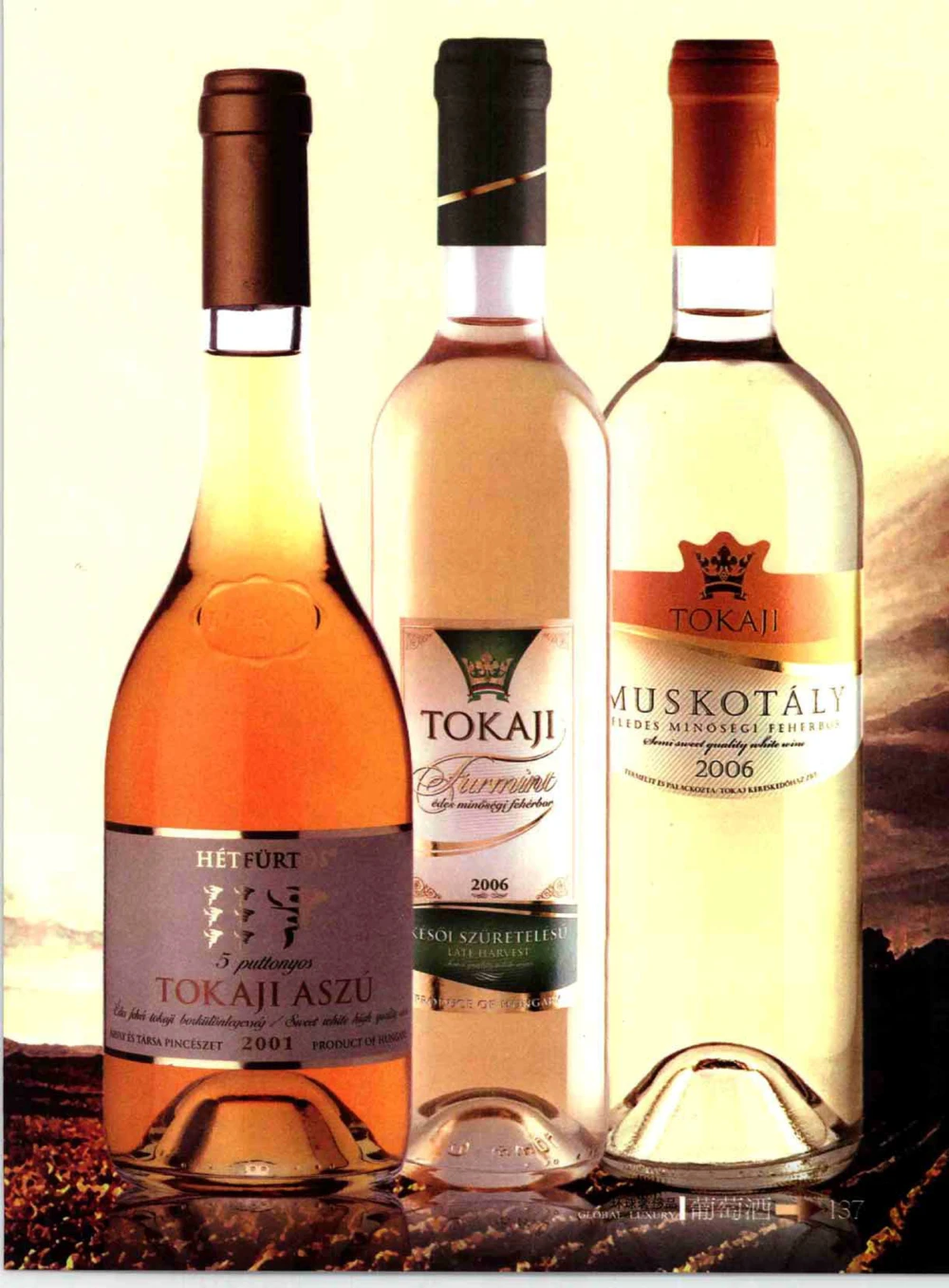 [环球奢侈品系列&middot;葡萄酒].宿宁编著.插图版_X017-奢侈品鉴定教程最新合集_赠品3奢侈品培训电子书