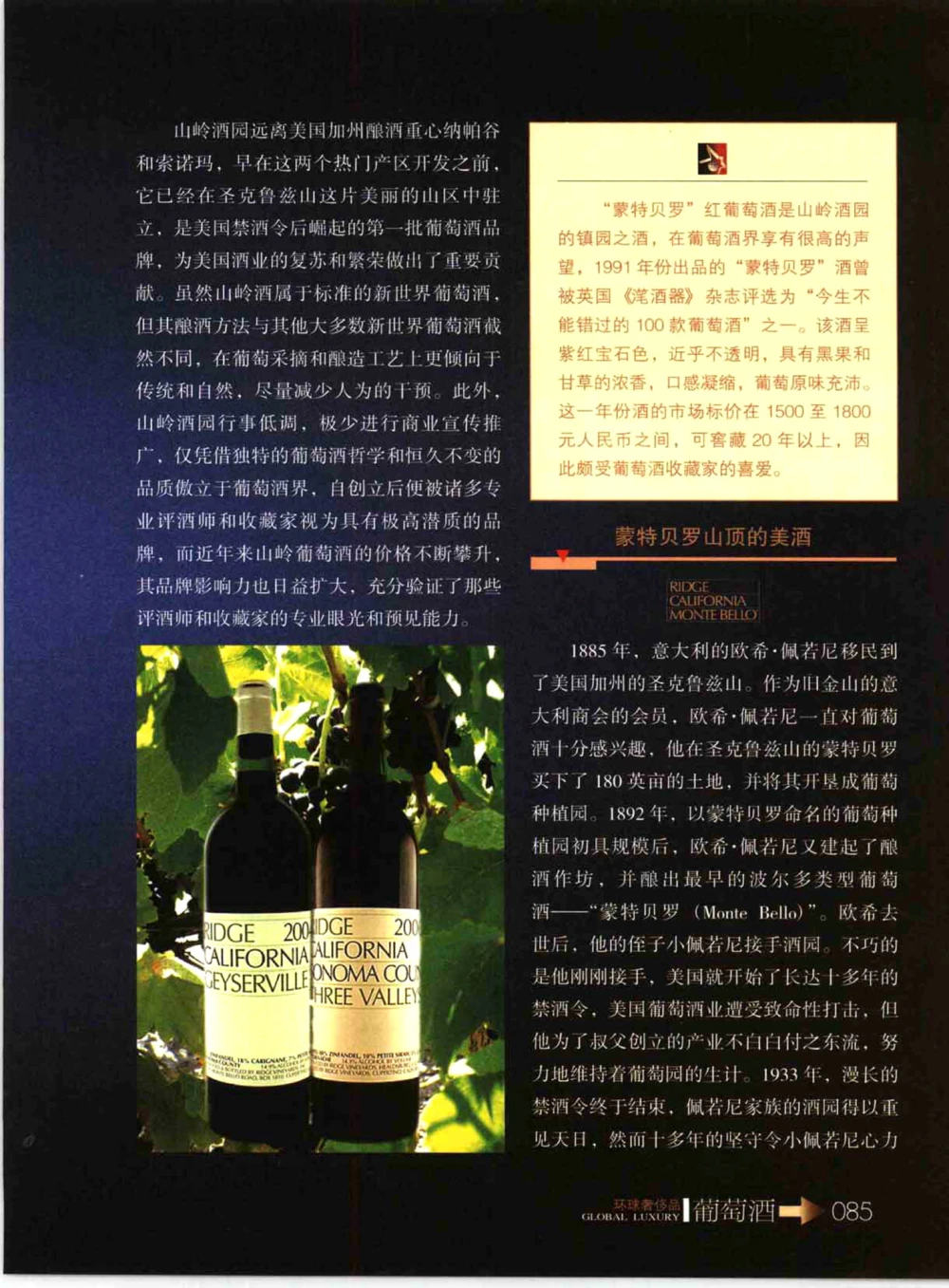 [环球奢侈品系列&middot;葡萄酒].宿宁编著.插图版_X017-奢侈品鉴定教程最新合集_赠品3奢侈品培训电子书