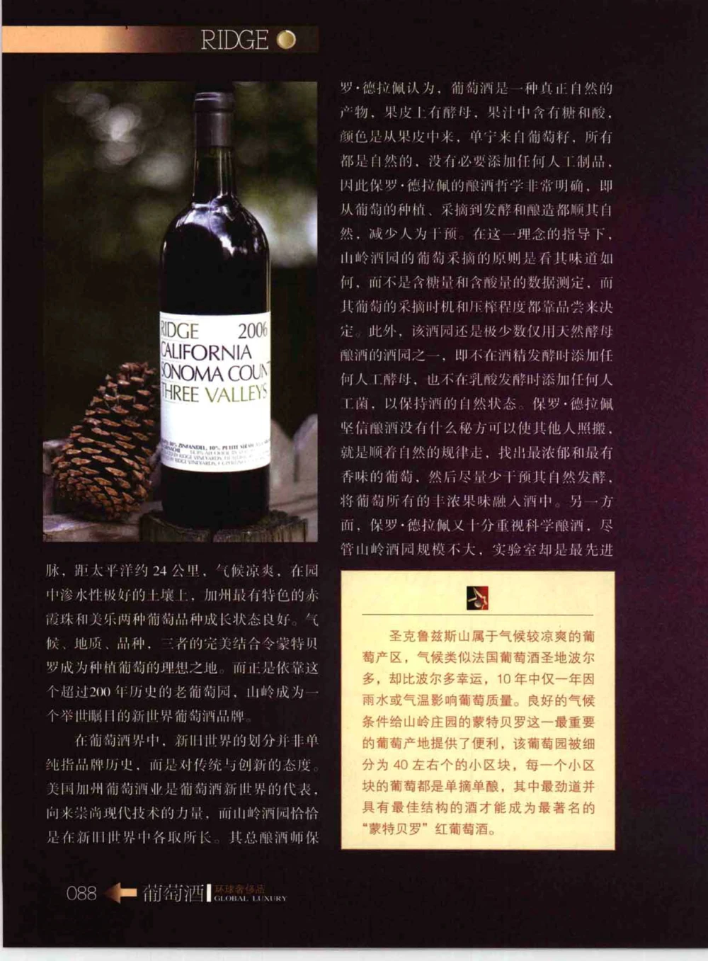 [环球奢侈品系列&middot;葡萄酒].宿宁编著.插图版_X017-奢侈品鉴定教程最新合集_赠品3奢侈品培训电子书