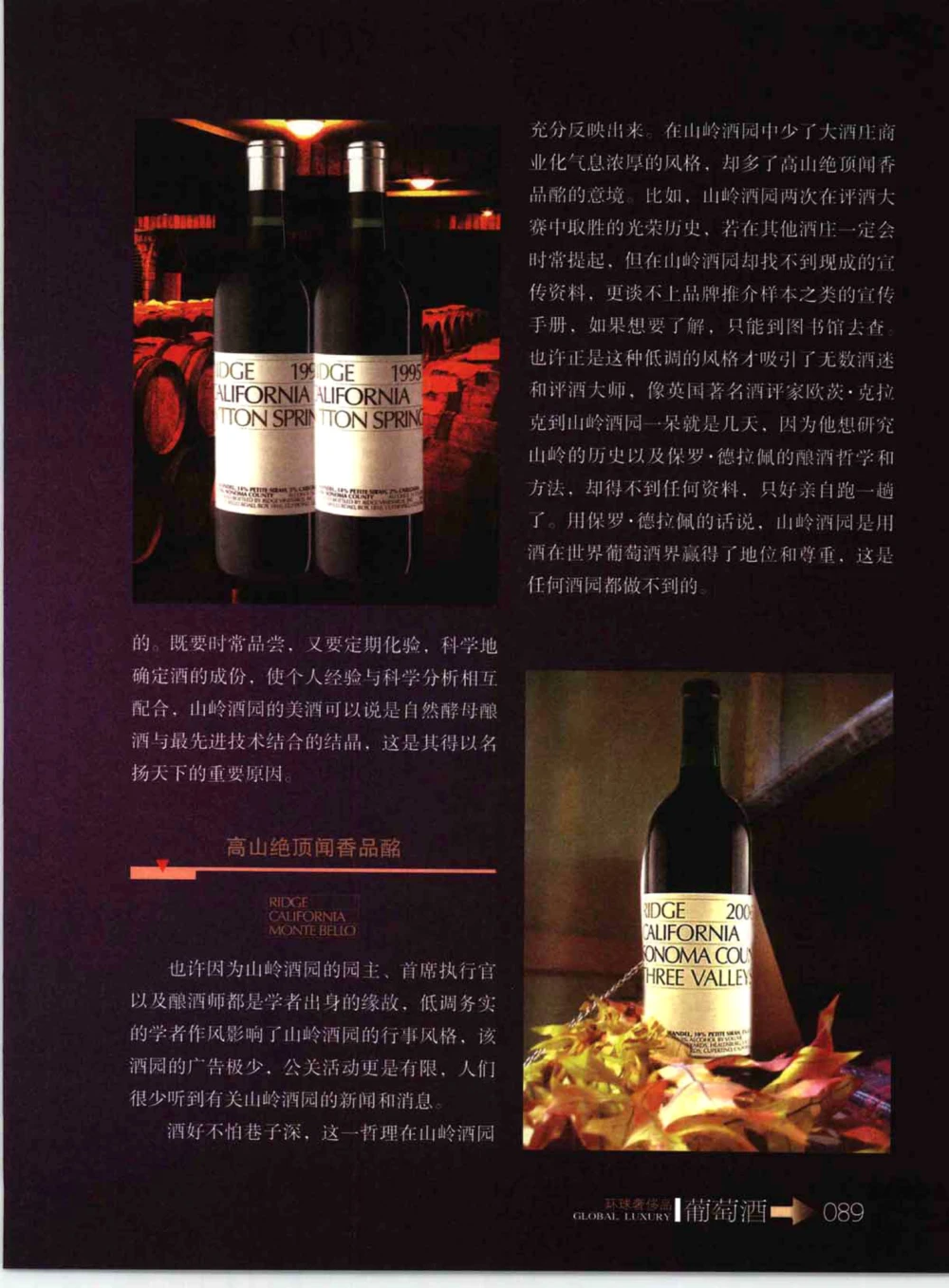 [环球奢侈品系列&middot;葡萄酒].宿宁编著.插图版_X017-奢侈品鉴定教程最新合集_赠品3奢侈品培训电子书