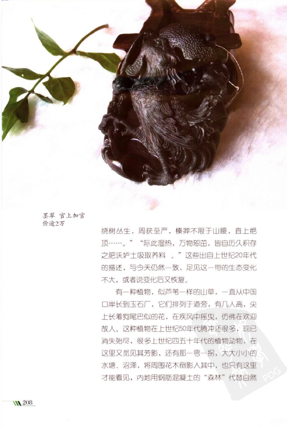 勐拱翡翠经-张竹邦_X018-玉石珠宝鉴定教程最新合集_6、翡翠鉴定专题全套课程_翡翠电子书_翡翠品评