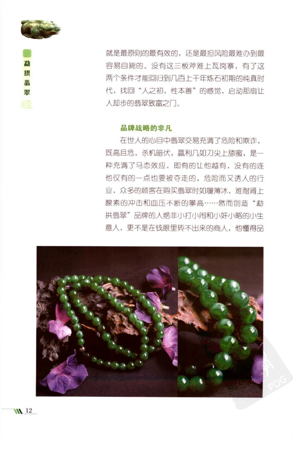 勐拱翡翠经-张竹邦_X018-玉石珠宝鉴定教程最新合集_6、翡翠鉴定专题全套课程_翡翠电子书_翡翠品评