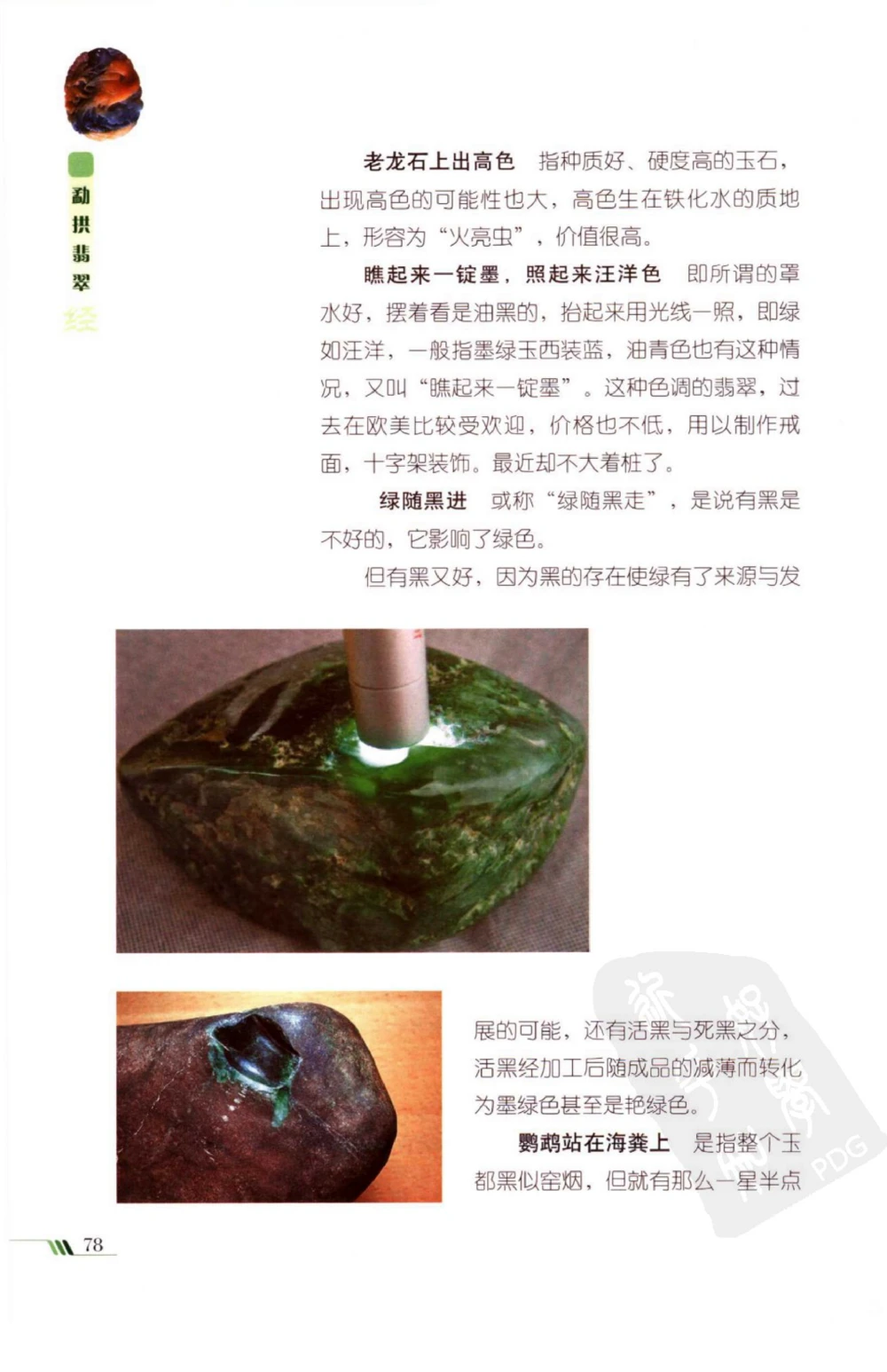 勐拱翡翠经-张竹邦_X018-玉石珠宝鉴定教程最新合集_6、翡翠鉴定专题全套课程_翡翠电子书_翡翠品评