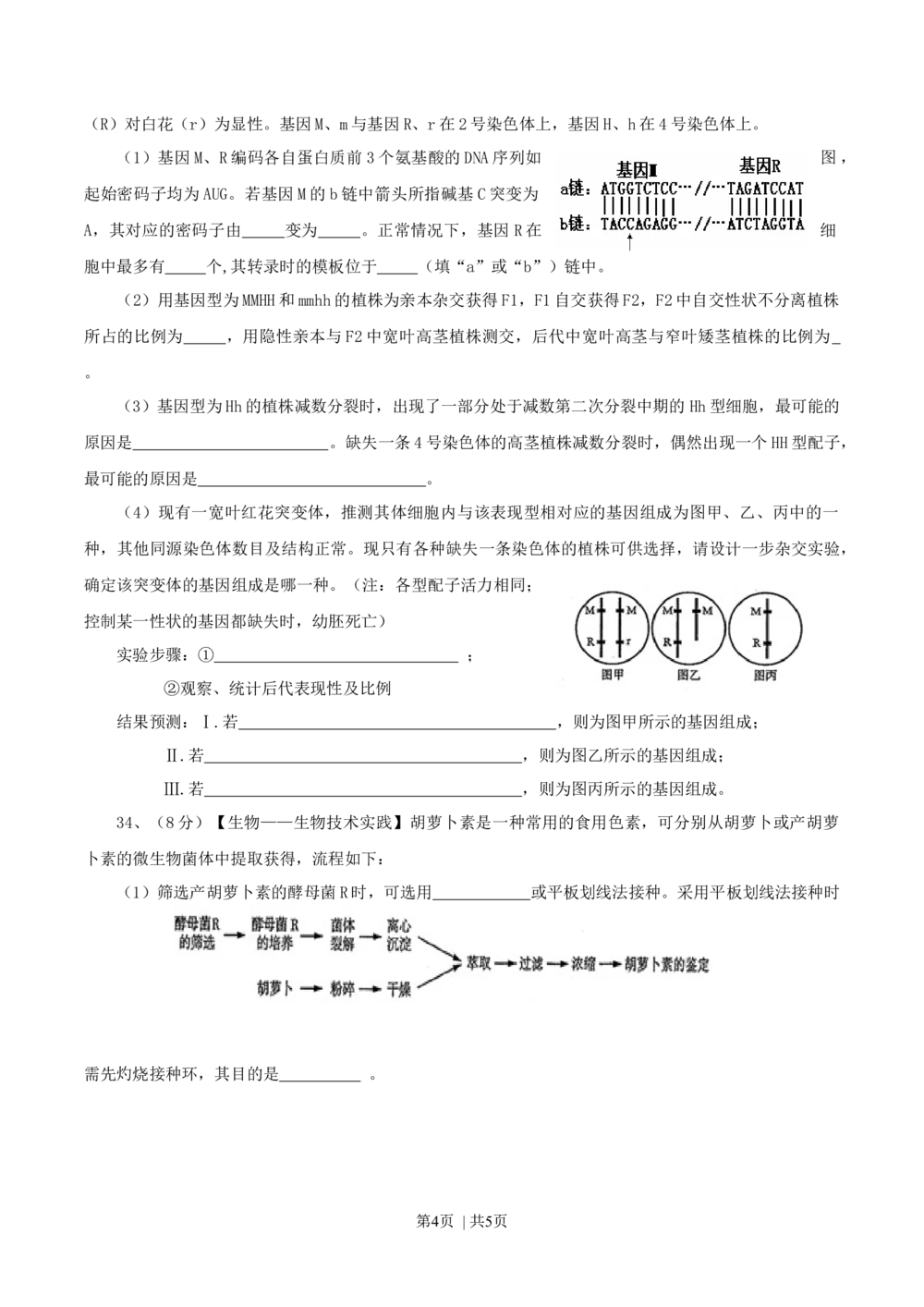 2013年高考生物试卷（山东）（空白卷）_生物历年高考真题_新&middot;Word版2008-2025&middot;高考生物真题_生物（按省份分类）2008-2025_2008-2025&middot;（山东）生物高考真题