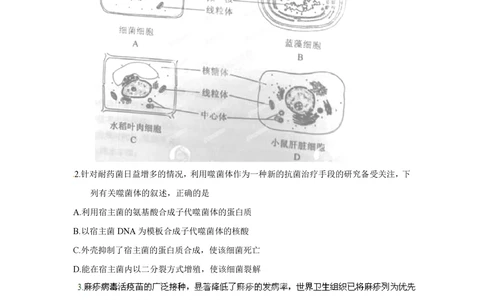 2012年高考生物试卷（重庆）（空白卷）_生物历年高考真题_新&middot;PDF版2008-2025&middot;高考生物真题_生物（按省份分类）2008-2025_2012-2024&middot;（重庆）生物高考真题