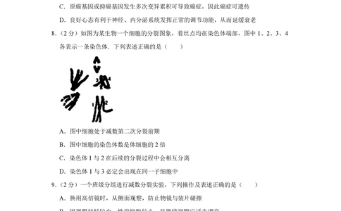 2013年高考生物试卷（江苏）（空白卷）_生物历年高考真题_新&middot;PDF版2008-2025&middot;高考生物真题_生物（按年份分类）2008-2025_2013&middot;高考生物真题