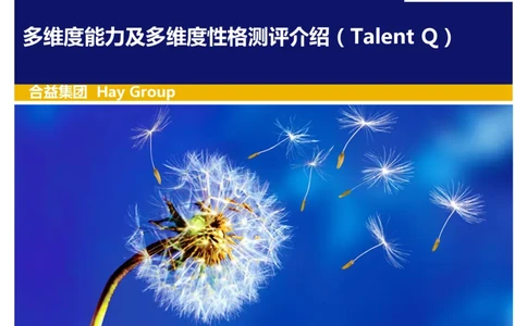 多维度能力及多维度性格测评介绍(TalentQ)_2025春招题库汇总_十大行测题库_2023年十大热门题库更新中_05、TalentQ汇总_TalentQ测试题（适合大多数外资银行以及其他企业）