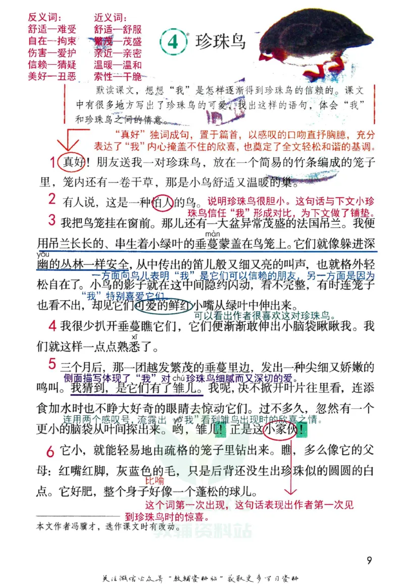 五年级上册语文部编版课堂笔记（抖音版）_小学初中学霸笔记类资料汇总6.33GB_小学同步课堂笔记2.76GB_1~6年级全册语文部编版课堂笔记