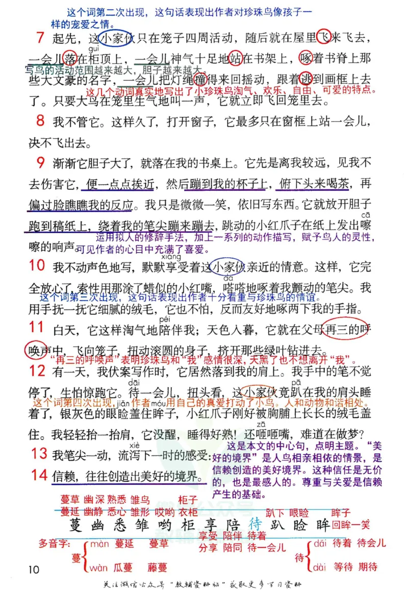 五年级上册语文部编版课堂笔记（抖音版）_小学初中学霸笔记类资料汇总6.33GB_小学同步课堂笔记2.76GB_1~6年级全册语文部编版课堂笔记