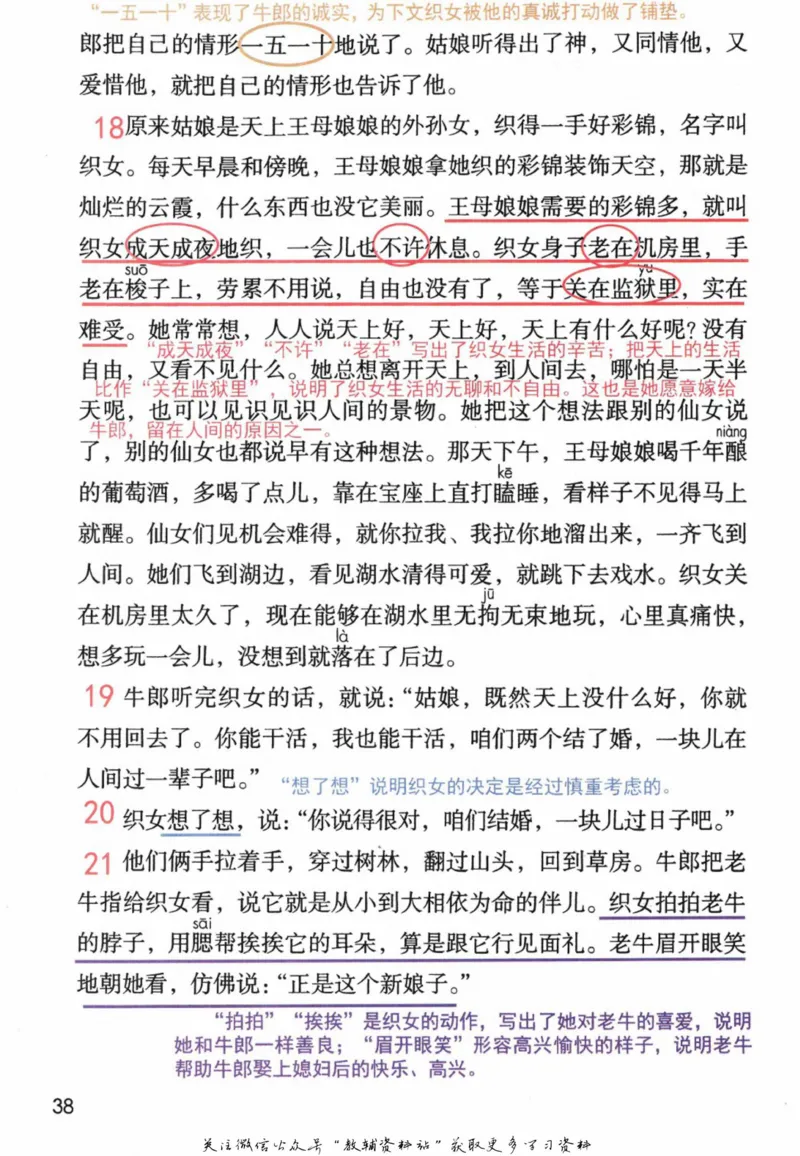 五年级上册语文部编版课堂笔记（抖音版）_小学初中学霸笔记类资料汇总6.33GB_小学同步课堂笔记2.76GB_1~6年级全册语文部编版课堂笔记