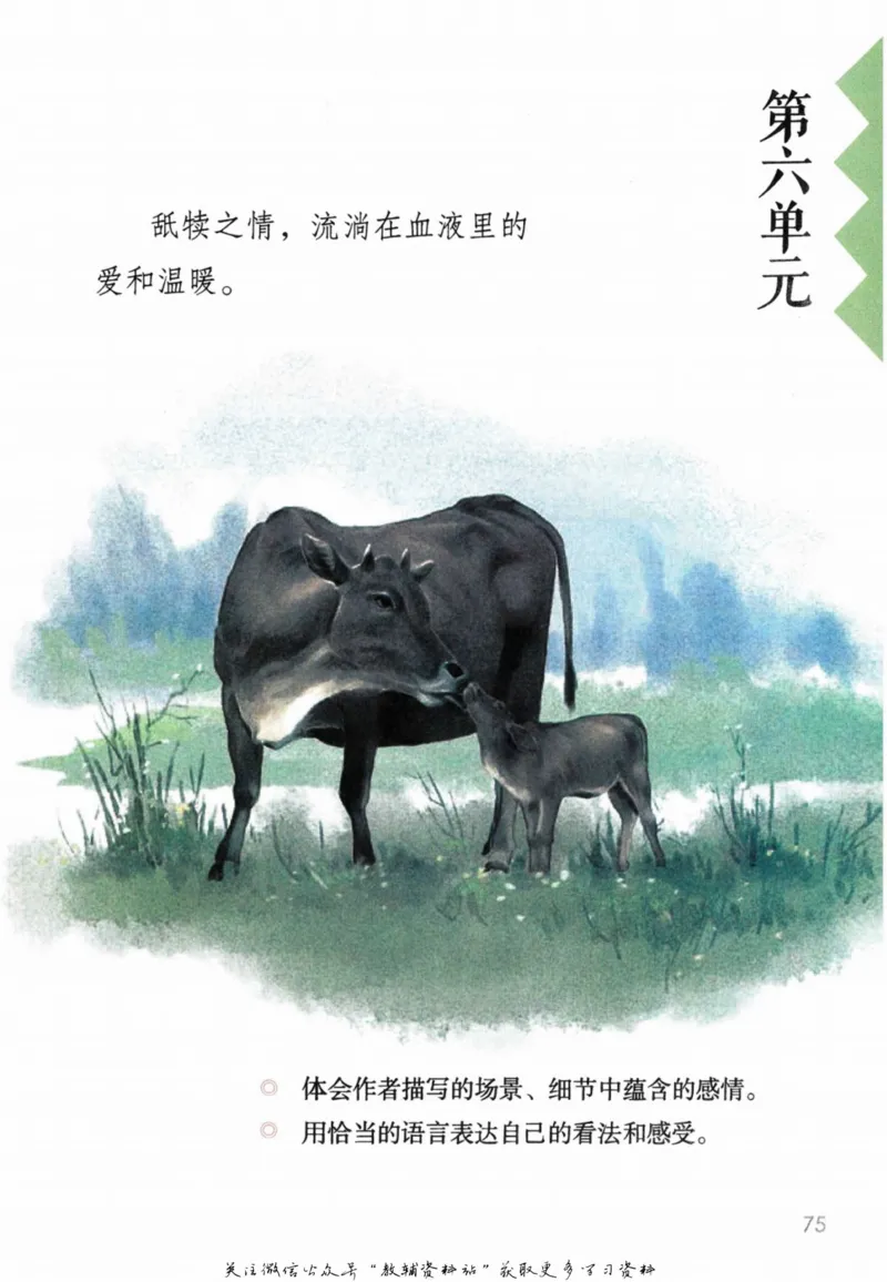 五年级上册语文部编版课堂笔记（抖音版）_小学初中学霸笔记类资料汇总6.33GB_小学同步课堂笔记2.76GB_1~6年级全册语文部编版课堂笔记