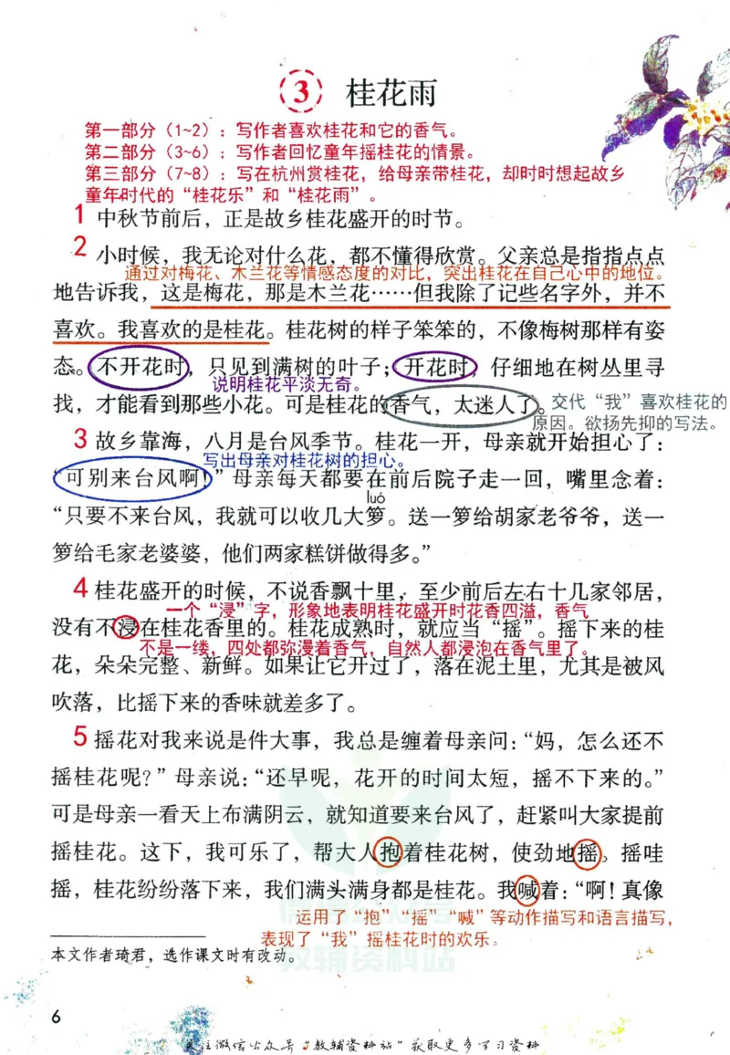 五年级上册语文部编版课堂笔记（抖音版）_小学初中学霸笔记类资料汇总6.33GB_小学同步课堂笔记2.76GB_1~6年级全册语文部编版课堂笔记