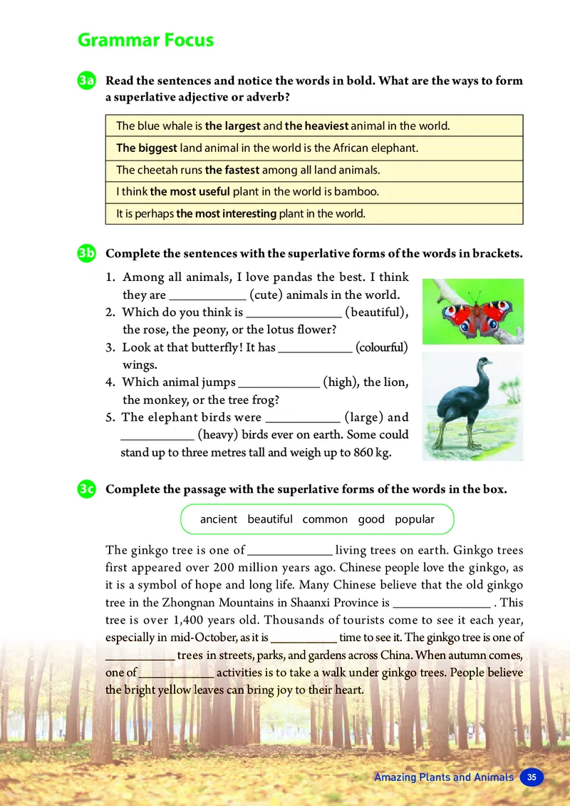 2025秋《英语八年级上册》人教版(新教材)_2026《初中必刷题》全科多版本_2025秋_2026版初中《必刷题》8年级上册（8科全）（多版本合集）_2026《初中必刷题&bull;英语》8上(译林)