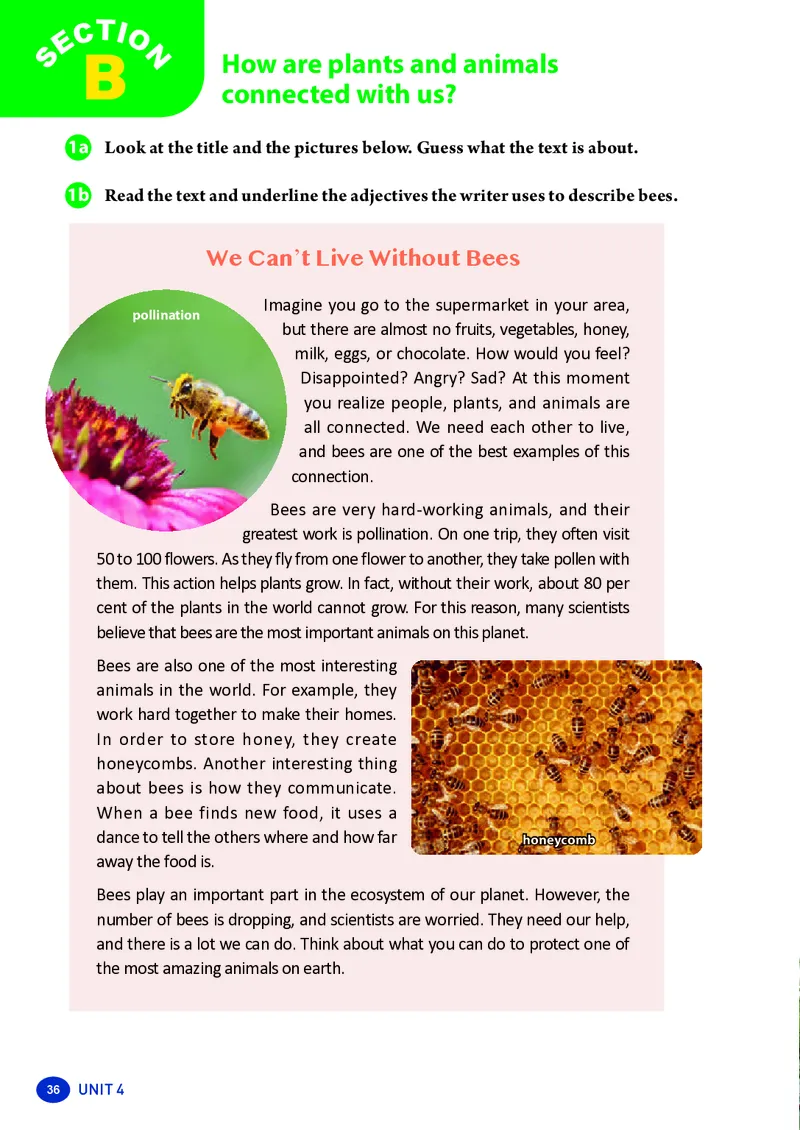 2025秋《英语八年级上册》人教版(新教材)_2026《初中必刷题》全科多版本_2025秋_2026版初中《必刷题》8年级上册（8科全）（多版本合集）_2026《初中必刷题&bull;英语》8上(译林)