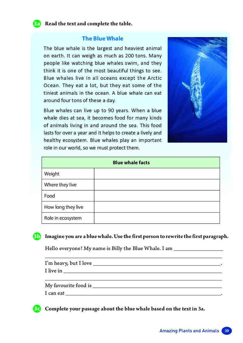 2025秋《英语八年级上册》人教版(新教材)_2026《初中必刷题》全科多版本_2025秋_2026版初中《必刷题》8年级上册（8科全）（多版本合集）_2026《初中必刷题&bull;英语》8上(译林)