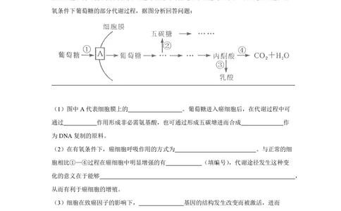 2012年高考生物试卷（四川）（解析卷）_生物历年高考真题_新&middot;PDF版2008-2025&middot;高考生物真题_生物（按年份分类）2008-2025_2012&middot;高考生物真题