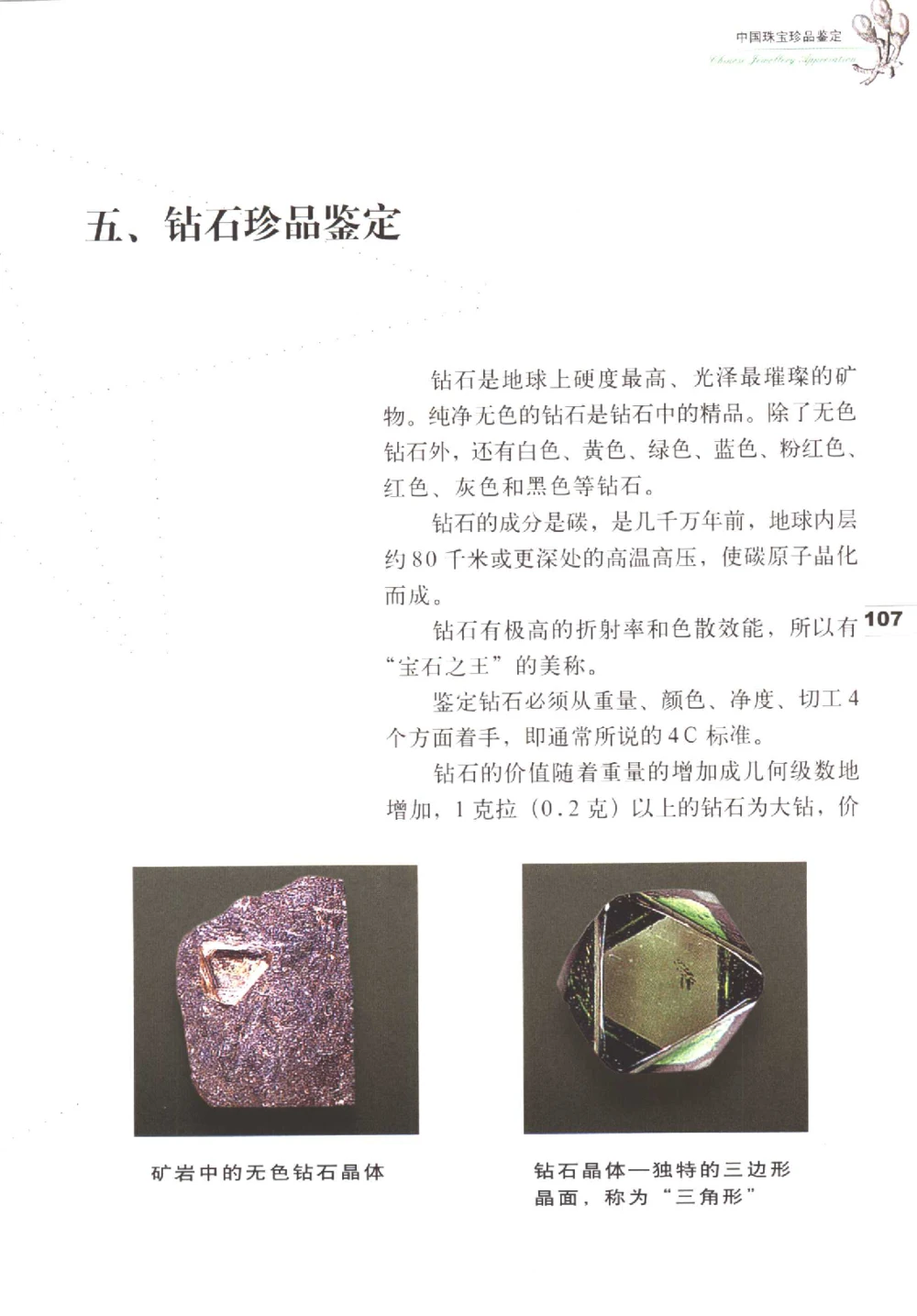 中国珠宝珍品鉴定图集__X018-玉石珠宝鉴定教程最新合集_4、珠宝玉石鉴定投资手册合集