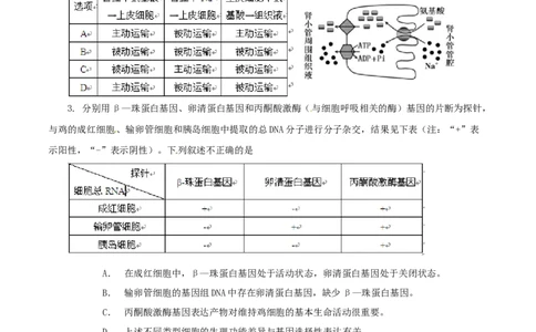 2014年高考生物试卷（安徽）（空白卷）_生物历年高考真题_新&middot;Word版2008-2025&middot;高考生物真题_生物（按年份分类）2008-2025_2014&middot;高考生物真题