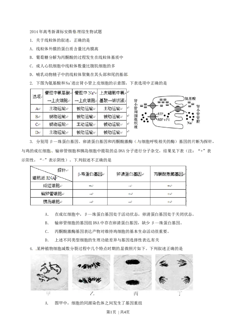 2014年高考生物试卷（安徽）（空白卷）_生物历年高考真题_新&middot;Word版2008-2025&middot;高考生物真题_生物（按年份分类）2008-2025_2014&middot;高考生物真题