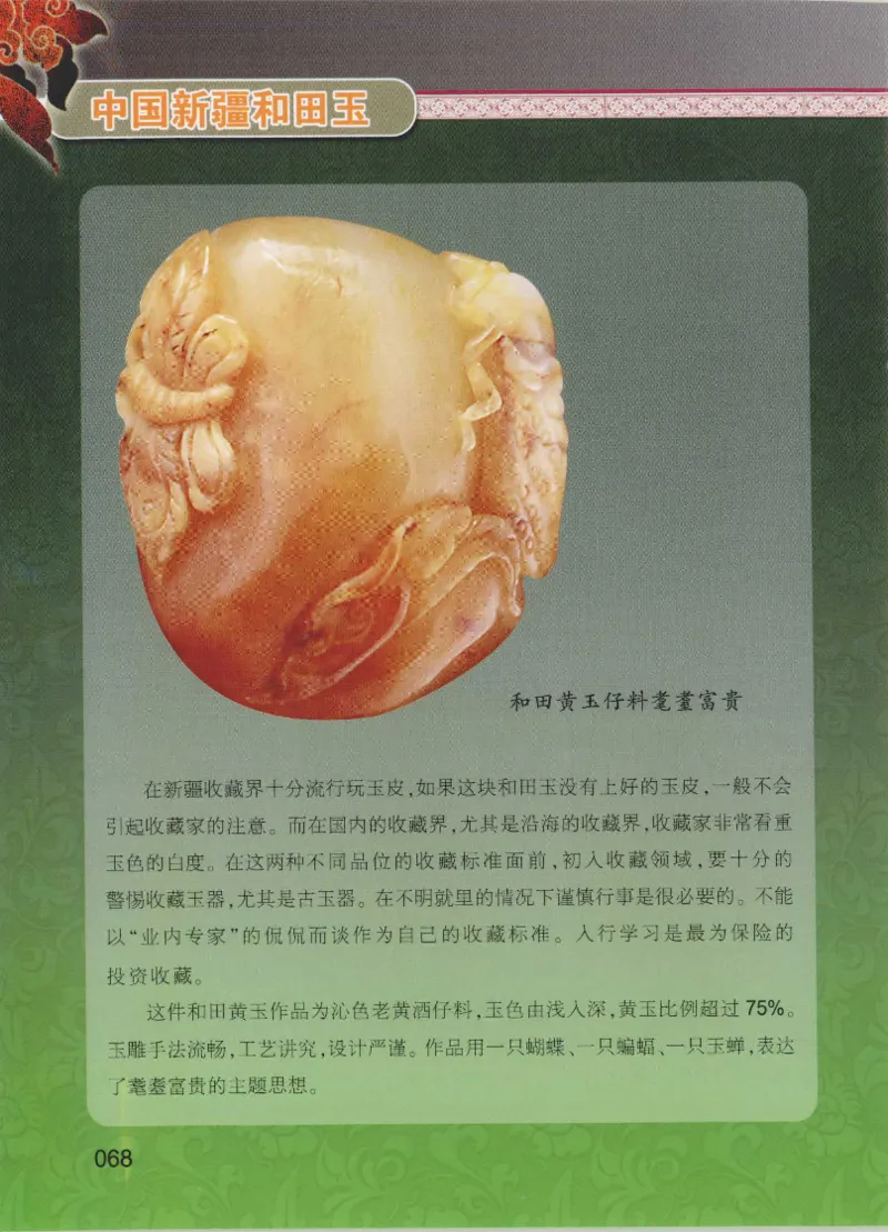 中国新疆和田玉黄玉__X018-玉石珠宝鉴定教程最新合集_7、和田玉鉴定专题全套课程_和田玉电子书