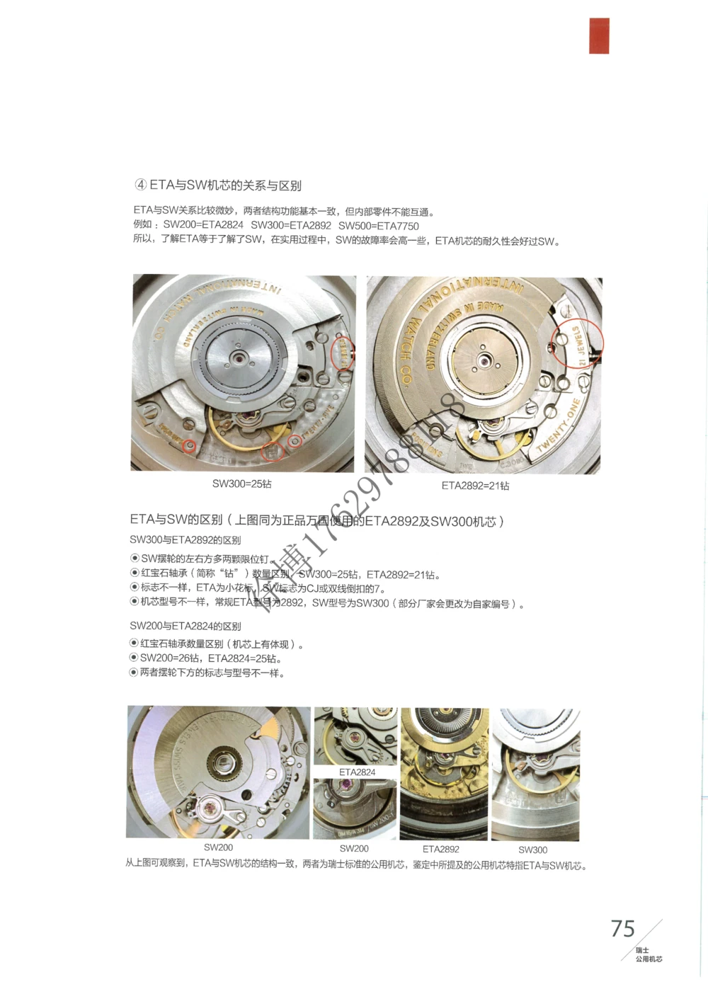 奢侈品名表_X017-奢侈品鉴定教程最新合集_5、寄卖行鉴定全套手册合集6套_手表鉴定资料