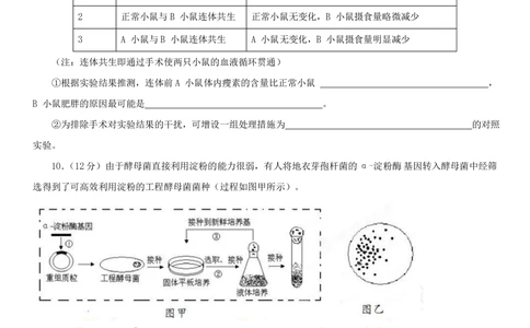 2013年高考生物试卷（四川）（空白卷）_生物历年高考真题_新&middot;PDF版2008-2025&middot;高考生物真题_生物（按年份分类）2008-2025_2013&middot;高考生物真题