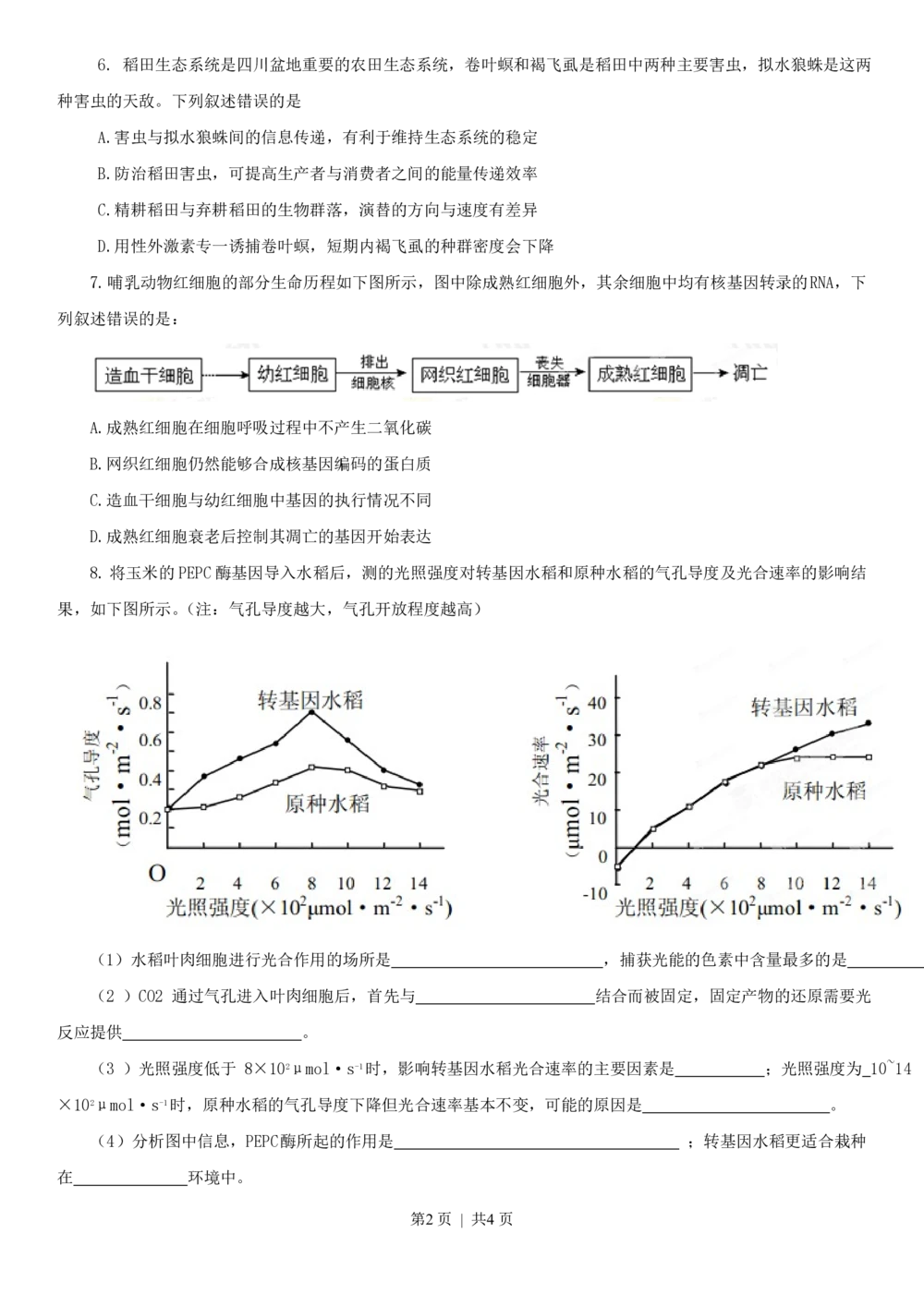 2013年高考生物试卷（四川）（空白卷）_生物历年高考真题_新&middot;PDF版2008-2025&middot;高考生物真题_生物（按年份分类）2008-2025_2013&middot;高考生物真题