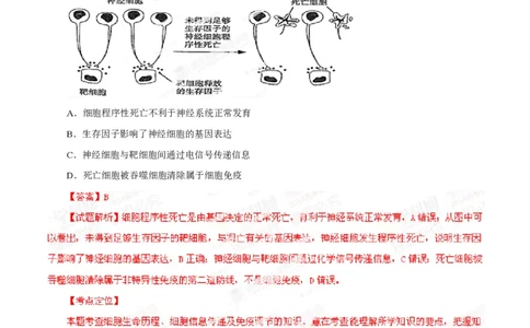 2014年高考生物试卷（山东）（解析卷）_生物历年高考真题_新&middot;PDF版2008-2025&middot;高考生物真题_生物（按试卷类型分类）2008-2025_自主命题卷&middot;生物（2008-2025）