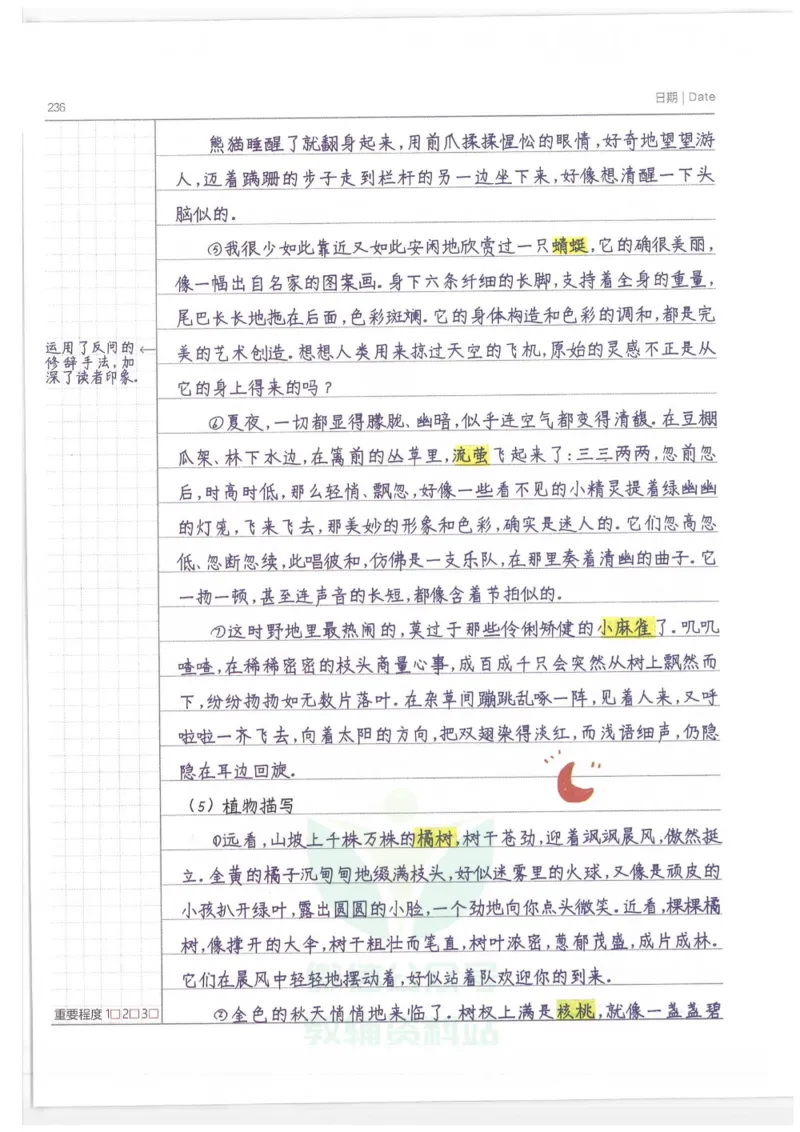 小学学霸笔记-语文_小学初中学霸笔记类资料汇总6.33GB_小学语数英学霸笔记268.56MB