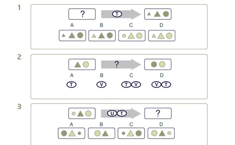 Preparation_Guide_Diagrammatic_Reasoning_DR_S2_INTE_2025春招题库汇总_快消题库-2_2023快消合集(17家持续更新中）_2023百威最新题库（GMAT、saville）_往年真题题库_saville题库