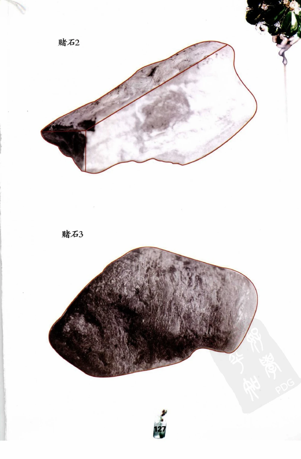 典型表现、神仙口及..._X018-玉石珠宝鉴定教程最新合集_6、翡翠鉴定专题全套课程_翡翠电子书_翡翠鉴赏_41-50