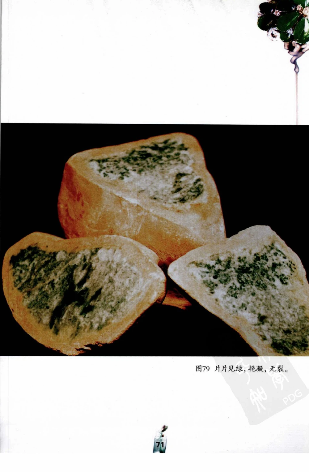 典型表现、神仙口及..._X018-玉石珠宝鉴定教程最新合集_6、翡翠鉴定专题全套课程_翡翠电子书_翡翠鉴赏_41-50