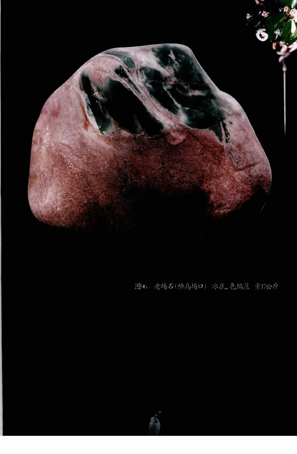 典型表现、神仙口及..._X018-玉石珠宝鉴定教程最新合集_6、翡翠鉴定专题全套课程_翡翠电子书_翡翠鉴赏_41-50