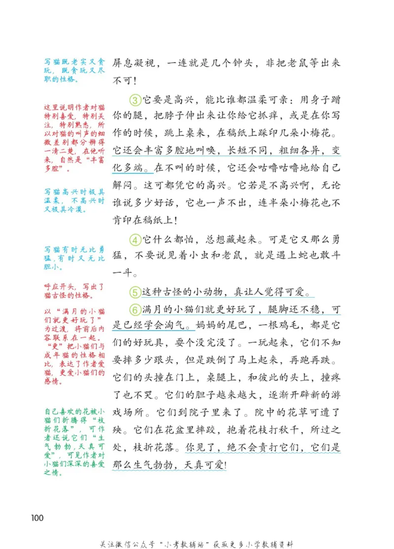 四年级下册语文部编版课堂笔记（博小优）_小学初中学霸笔记类资料汇总6.33GB_小学同步课堂笔记2.76GB_1~6年级全册语文部编版课堂笔记