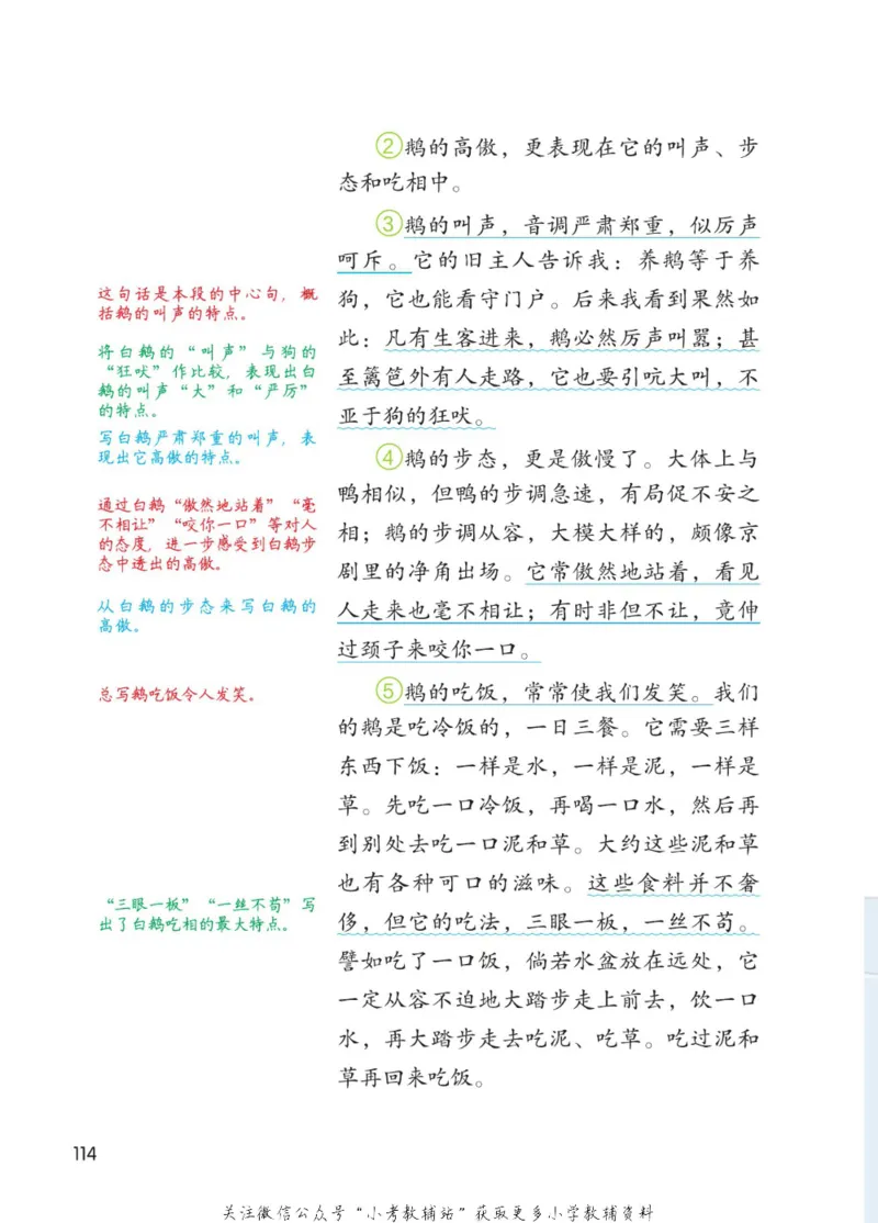 四年级下册语文部编版课堂笔记（博小优）_小学初中学霸笔记类资料汇总6.33GB_小学同步课堂笔记2.76GB_1~6年级全册语文部编版课堂笔记