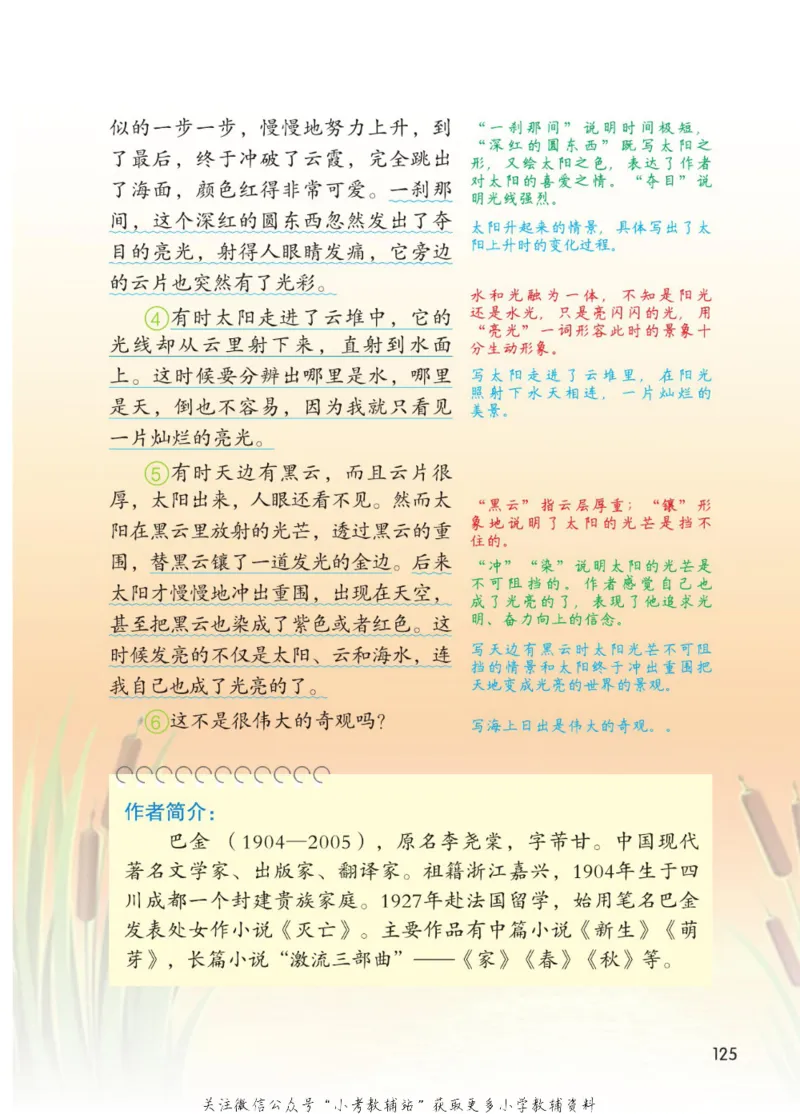 四年级下册语文部编版课堂笔记（博小优）_小学初中学霸笔记类资料汇总6.33GB_小学同步课堂笔记2.76GB_1~6年级全册语文部编版课堂笔记