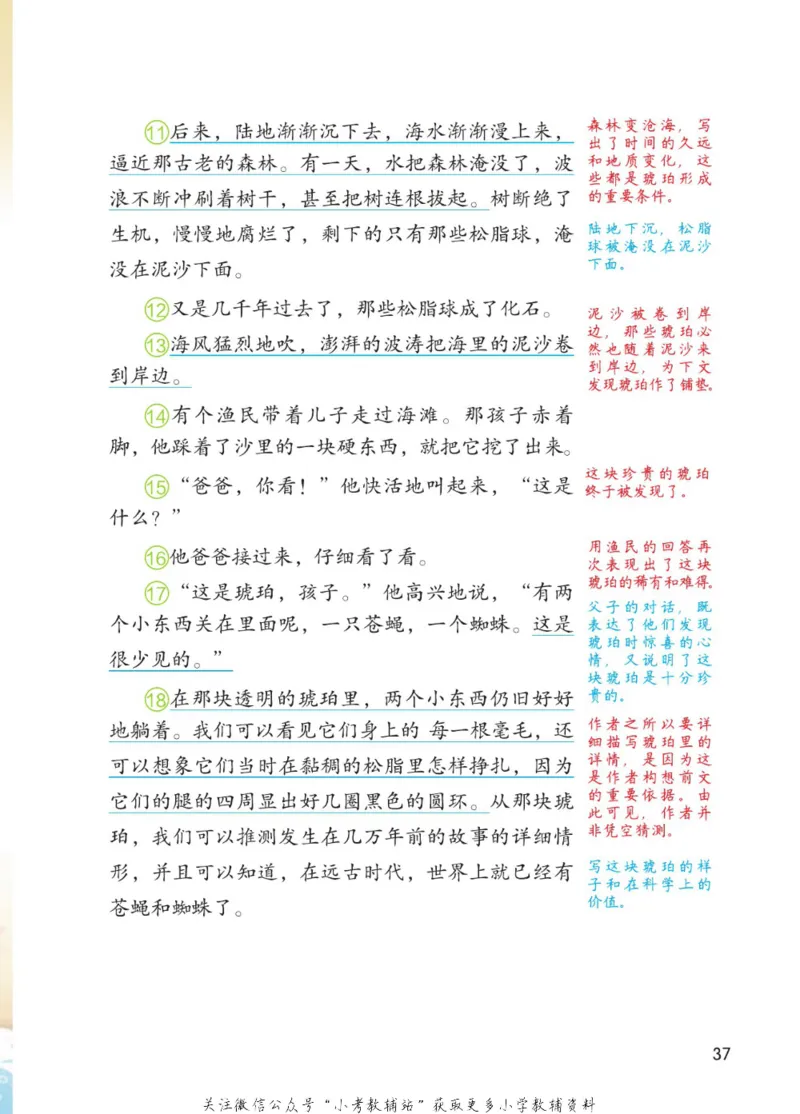 四年级下册语文部编版课堂笔记（博小优）_小学初中学霸笔记类资料汇总6.33GB_小学同步课堂笔记2.76GB_1~6年级全册语文部编版课堂笔记