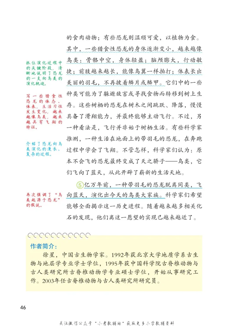 四年级下册语文部编版课堂笔记（博小优）_小学初中学霸笔记类资料汇总6.33GB_小学同步课堂笔记2.76GB_1~6年级全册语文部编版课堂笔记