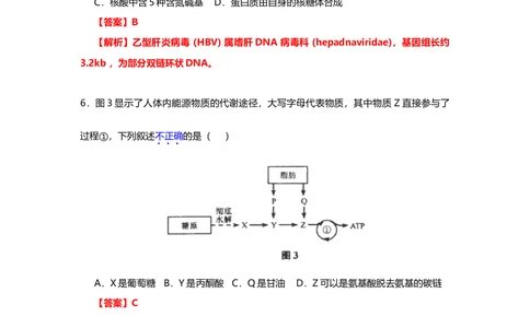 2013年高考生物试卷（上海）（解析卷）_生物历年高考真题_新&middot;Word版2008-2025&middot;高考生物真题_生物（按省份分类）2008-2025_2008-2022&middot;（上海）生物高考真题