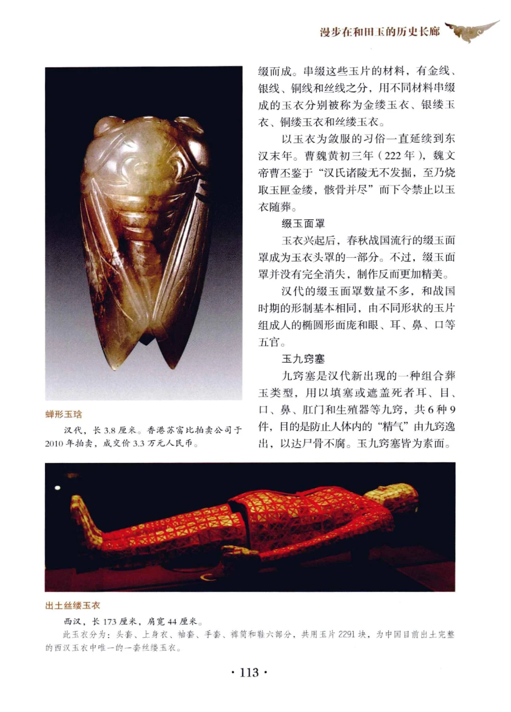 和田玉鉴赏与投资__X018-玉石珠宝鉴定教程最新合集_7、和田玉鉴定专题全套课程_和田玉电子书