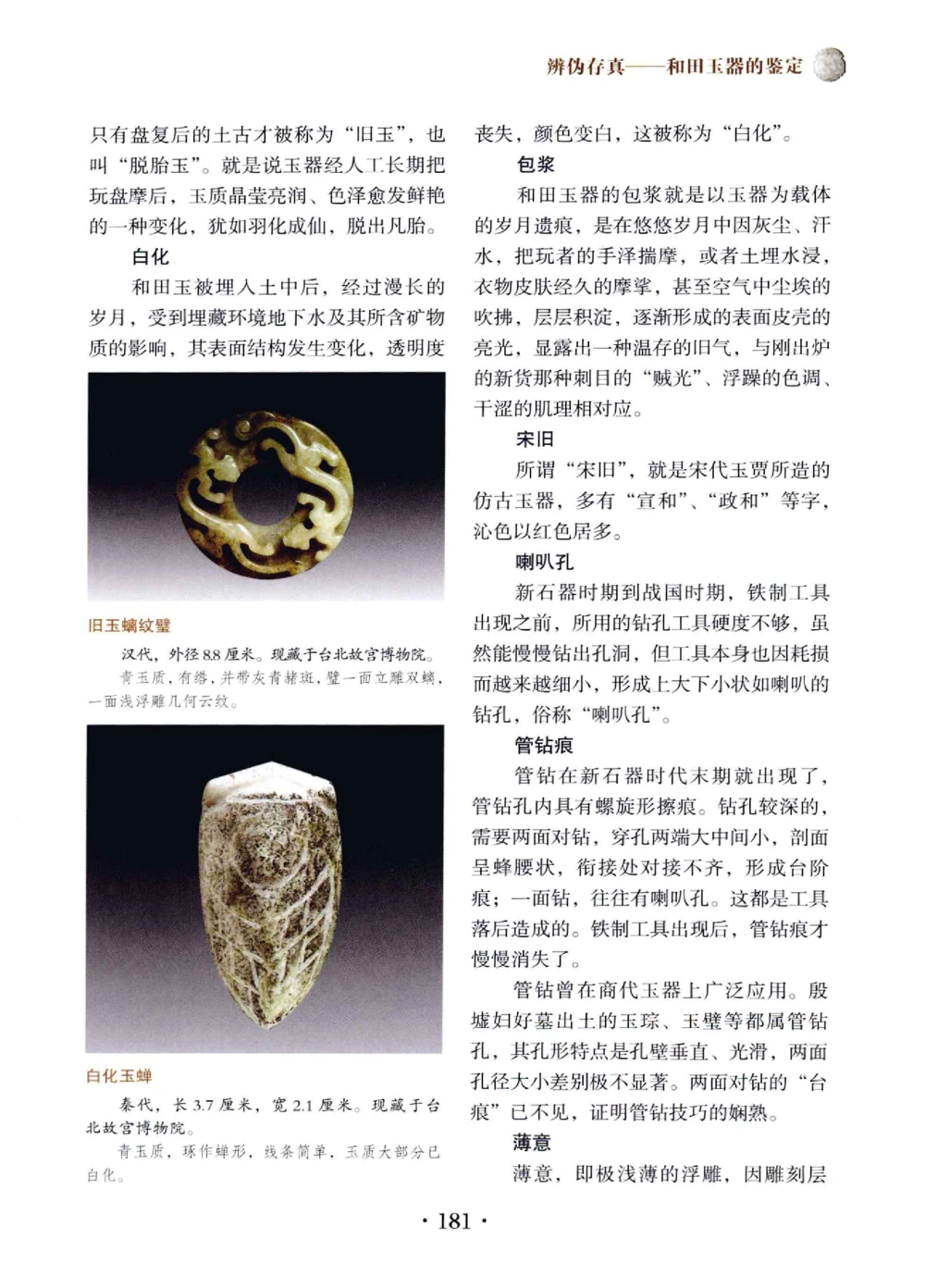 和田玉鉴赏与投资__X018-玉石珠宝鉴定教程最新合集_7、和田玉鉴定专题全套课程_和田玉电子书