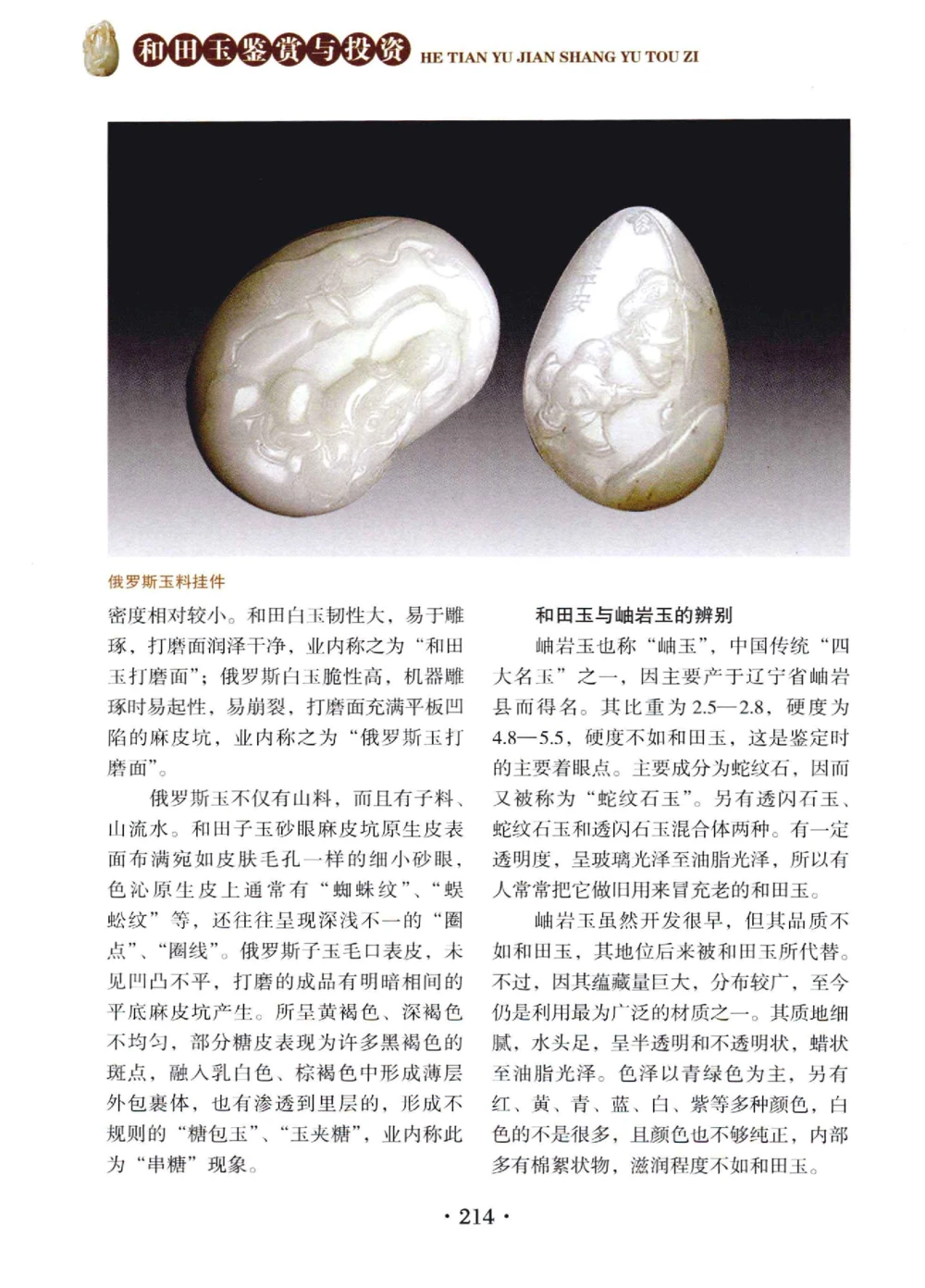 和田玉鉴赏与投资__X018-玉石珠宝鉴定教程最新合集_7、和田玉鉴定专题全套课程_和田玉电子书