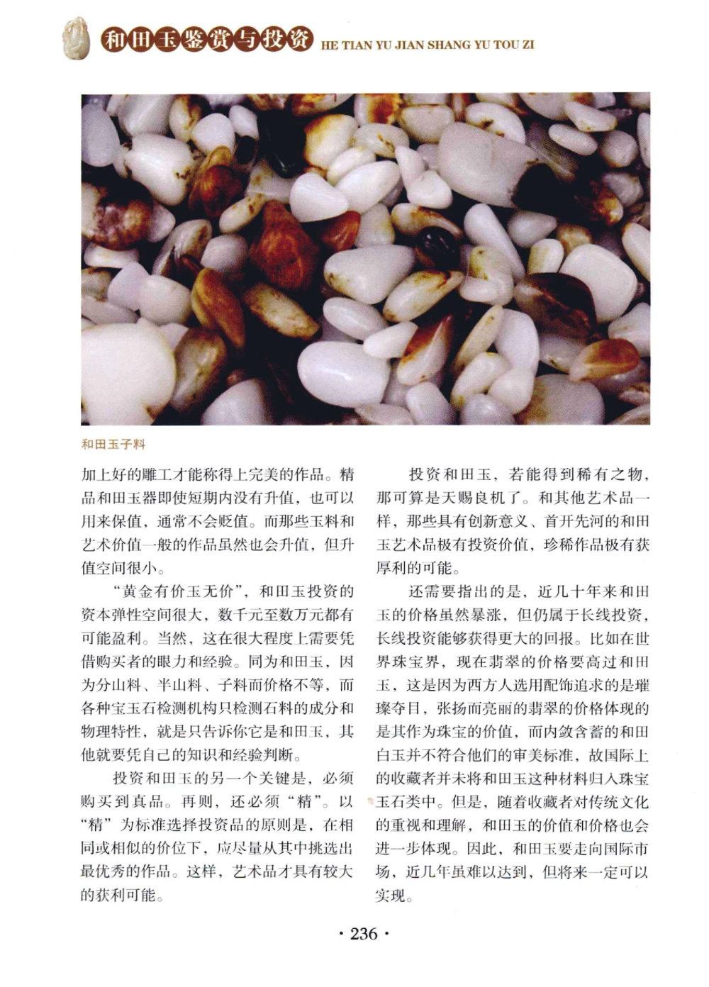 和田玉鉴赏与投资__X018-玉石珠宝鉴定教程最新合集_7、和田玉鉴定专题全套课程_和田玉电子书