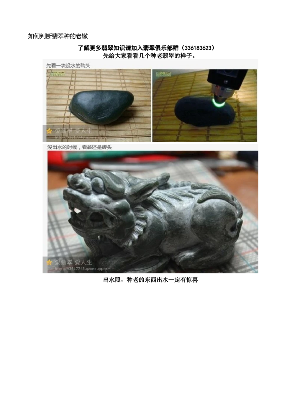 如何判断翡翠种的老嫩_X018-玉石珠宝鉴定教程最新合集_8、玉石翡翠鉴定与投资电子资料_赌石专题