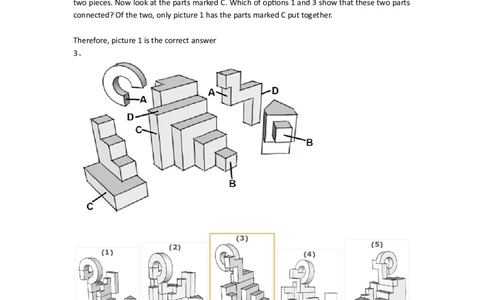 SpatialReasoning3D-AddingShapes2_2025春招题库汇总_快消题库-1_快消汇总_2023高露洁最新题库_CEBS－HL往年题库_SpatialReasoning(14)