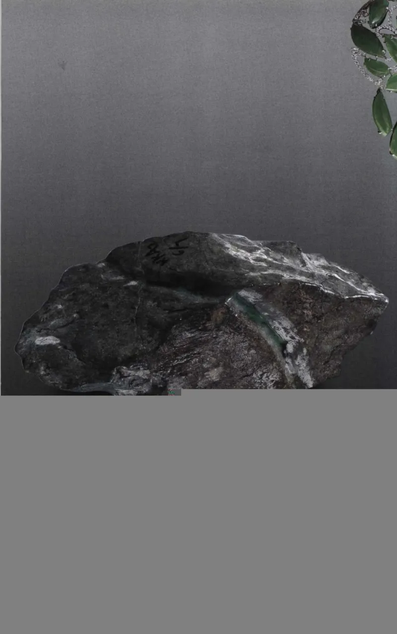 投资黑乌沙的...._X018-玉石珠宝鉴定教程最新合集_6、翡翠鉴定专题全套课程_翡翠电子书_翡翠鉴赏_41-50