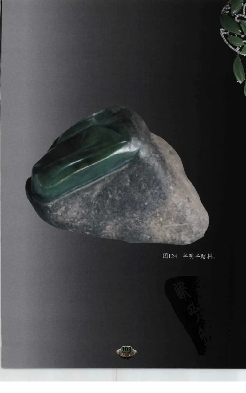 投资黑乌沙的...._X018-玉石珠宝鉴定教程最新合集_6、翡翠鉴定专题全套课程_翡翠电子书_翡翠鉴赏_41-50